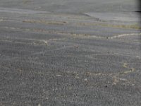 GCPR19 DP MG 0068