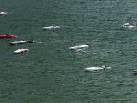 NPBA NYC Poker Run 2024 LR-516